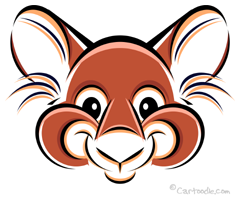 Squirrels